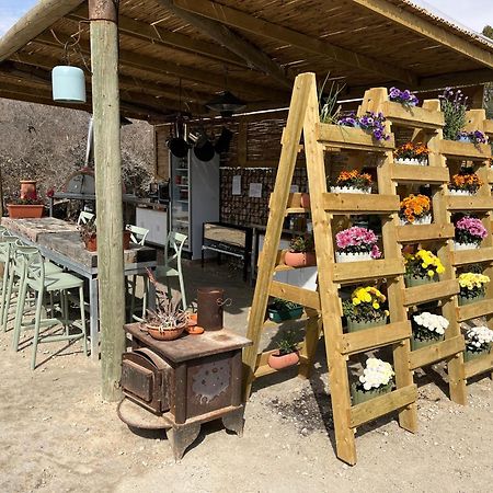 Carmey Avdat Farm Midreshet Ben Gurion Extérieur photo