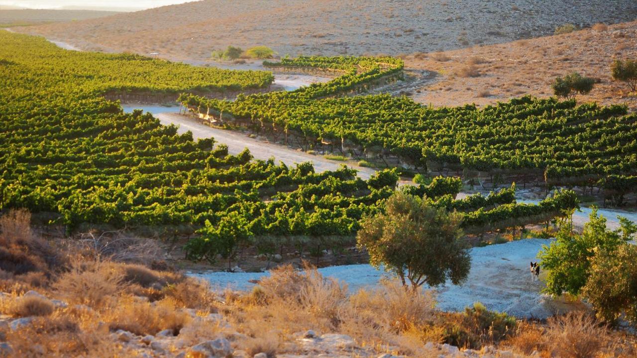 Carmey Avdat Farm Midreshet Ben Gurion Extérieur photo