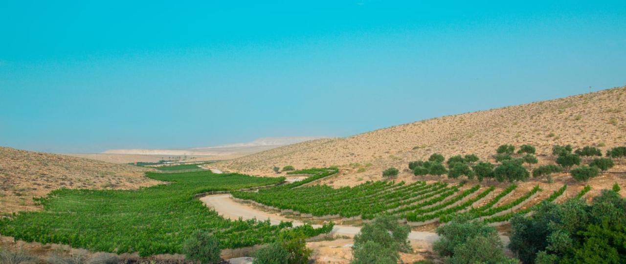 Carmey Avdat Farm Midreshet Ben Gurion Extérieur photo
