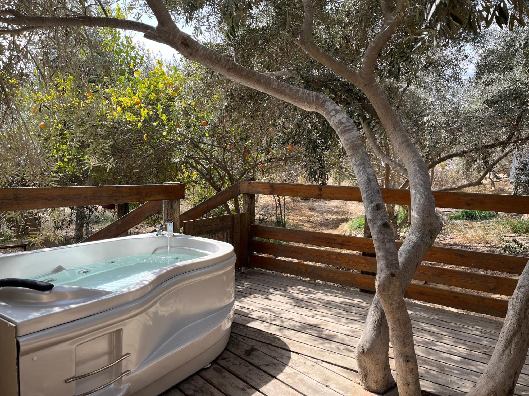 Carmey Avdat Farm Midreshet Ben Gurion Extérieur photo