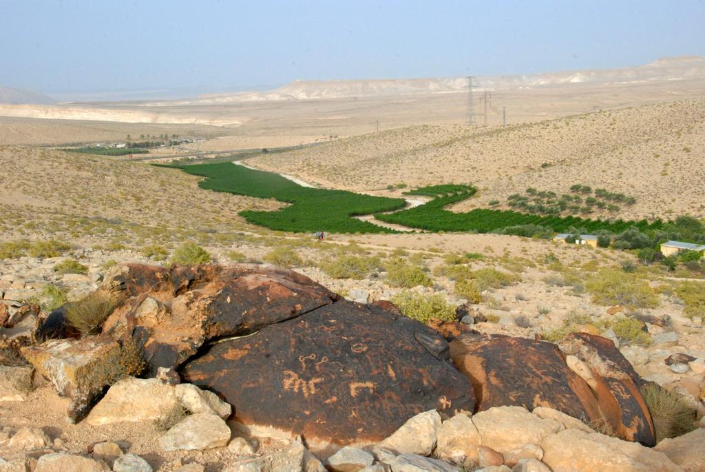 Carmey Avdat Farm Midreshet Ben Gurion Extérieur photo